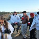 Cambria_0187 (November 05, 2011)